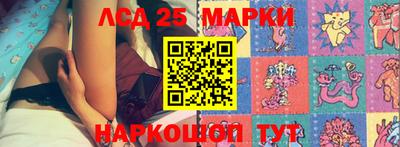 индика Новозыбков