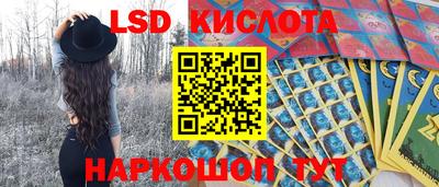 a pvp Новодвинск