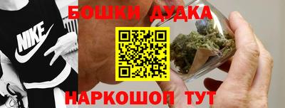 стаф Новокубанск