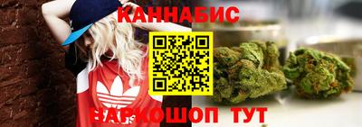 индика Новозыбков