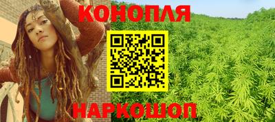 индика Новозыбков