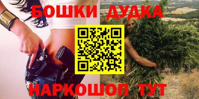 индика Новозыбков