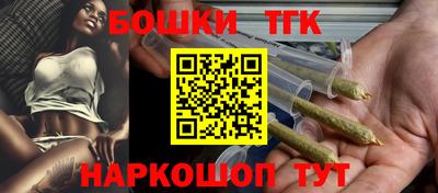 индика Новозыбков