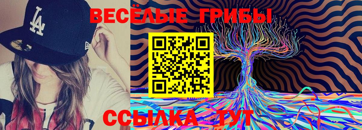 цена   Вход с VPN  Сокол  Галлюциногенные грибы мицелий  Псилоцибиновые грибы мицелий 