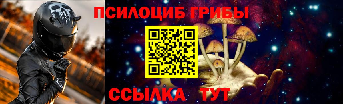 Псилоцибиновые грибы Psilocybine cubensis Сокол